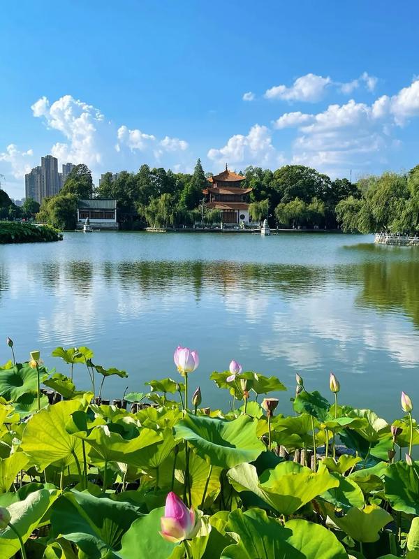 昆明大观公园