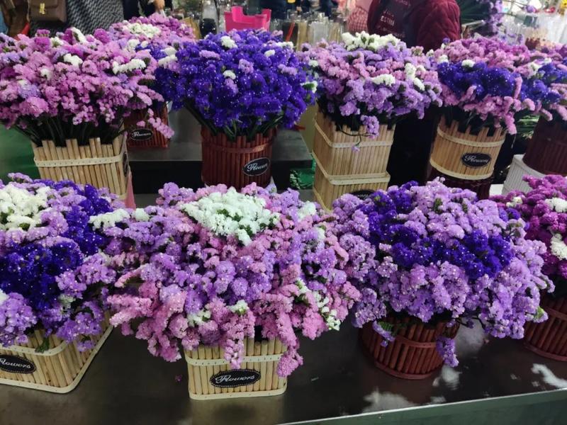 斗南花市