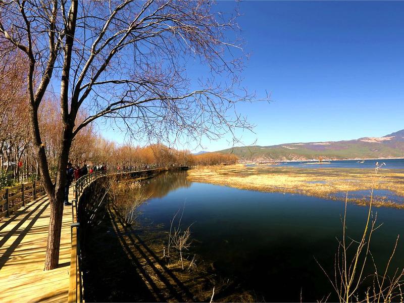 拉市海湿地公园